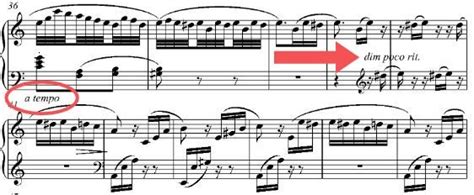 .rit. meaning in music can be a subtle yet profound indicator of the composer's intent within a piece.